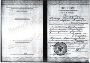 Диплом эксперта-техника, 2014 год
