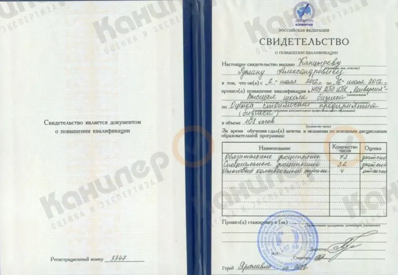 Свидетельство о профессиональной подготовке Руслана Канцырева